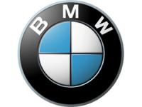 Filtro de combustible BMW