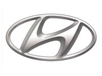 Filtro de combustible Hyundai
